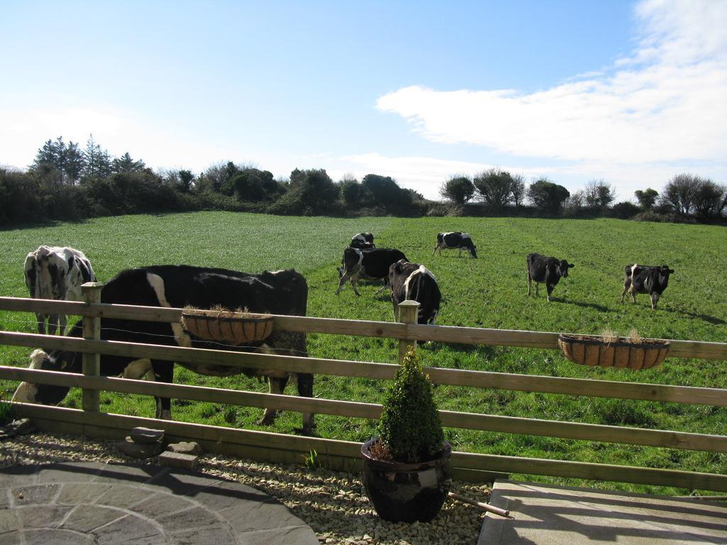 Farmstead Lodge B&B Beaufort Bagian luar foto
